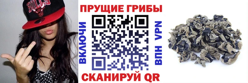 Псилоцибиновые грибы мухоморы  купить наркоту  Усмань 
